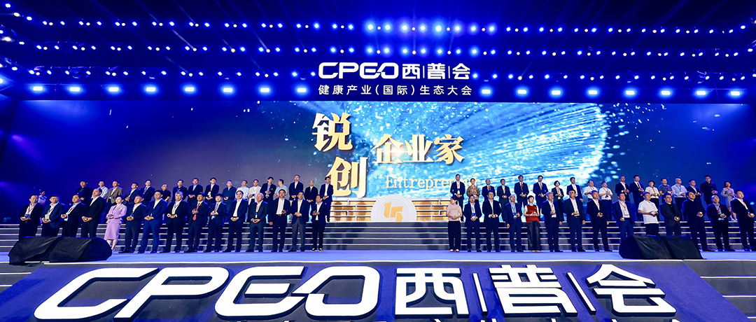 砥砺前行！利来w66荣获西普会两项大奖