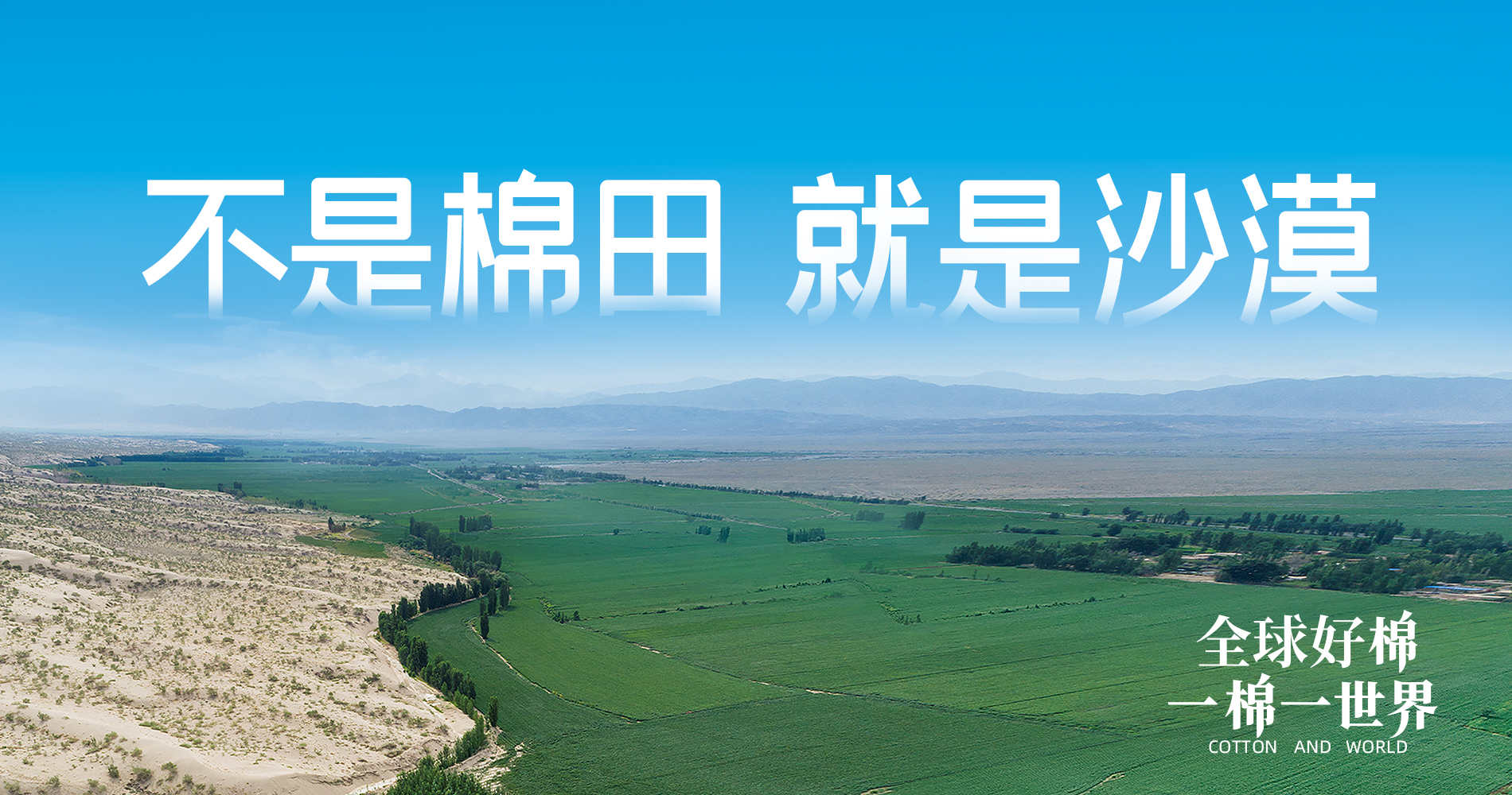 利来w66集团董事会多元化政策